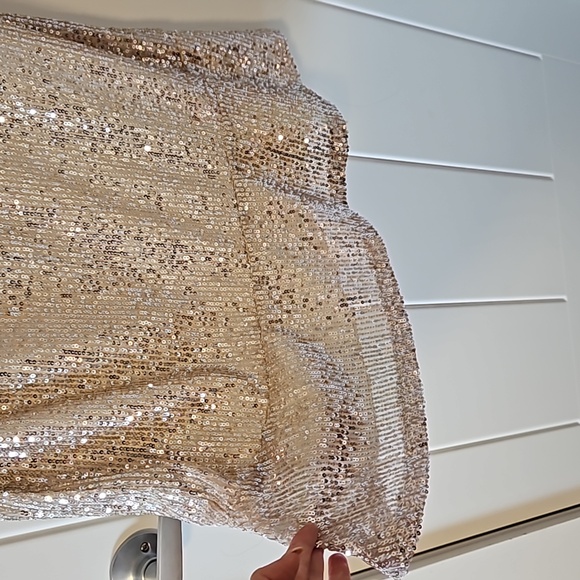 Moon Lite Rose Sequin Dress (S) - Picture 6 of 7